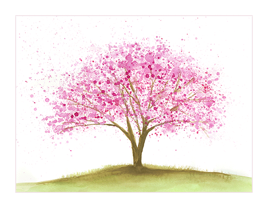 Blossoming cherry tree painted in watercolors.
